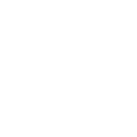 Legitimacy Standards Logo